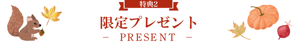 限定プレゼント -PRESENT-