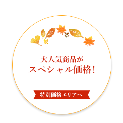 大人気商品がスペシャル価格！【特別価格エリアへ】