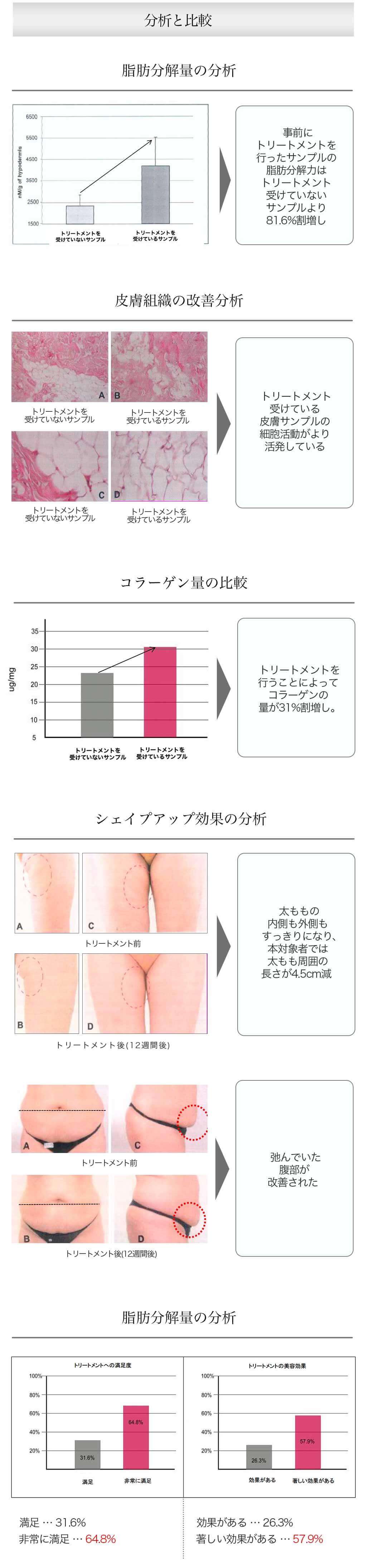 測定レポート