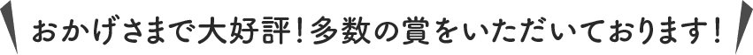 おかげさまで大好評！多数の賞をいただいております！