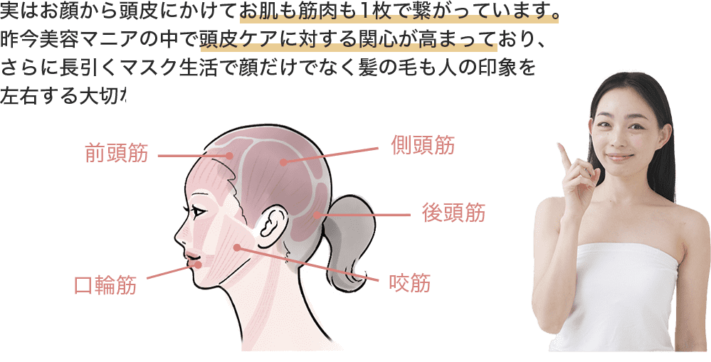 実はお顔から頭皮にかけてお肌も筋肉も1枚で繋がっています。昨今美容マニアの中で頭皮ケアに対する関心が高まっており、さらに長引くマスク生活で顔だけでなく髪の毛も人の印象を左右する大切な要因に！