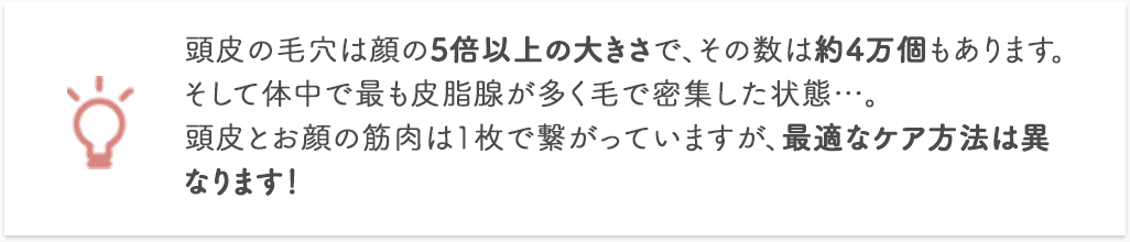 頭皮の毛穴は顔の5倍以上の大きさで、その数は約4万個もあります。そして体中で最も皮脂腺が多く毛で密集した状態…。頭皮とお顔の筋肉は1枚で繋がっていますが、最適なケア方法は異なります！