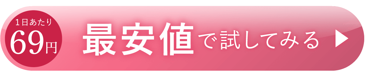 最安値で試してみる