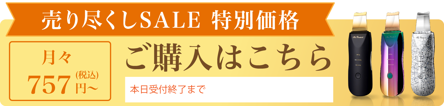 売り尽くしSALE 特別価格 ご購入はこちら