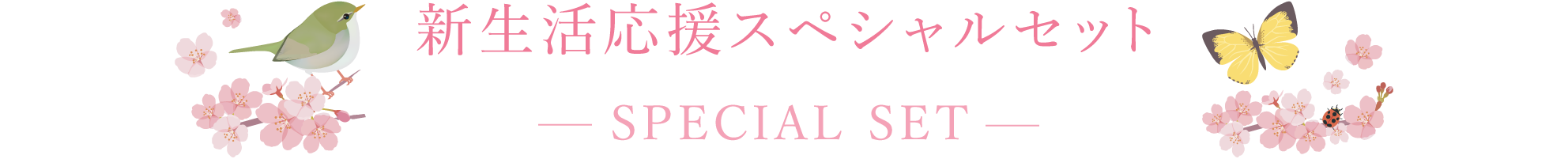 新生活応援スペシャルセット -SPECIAL SET-