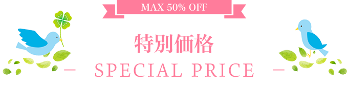 MAX50%OFF 特別価格 -SPECIAL PRICE-