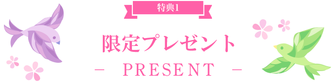 限定プレゼント -PRESENT-