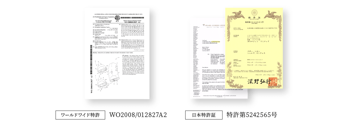 ワールドワイド特許 日本特許証